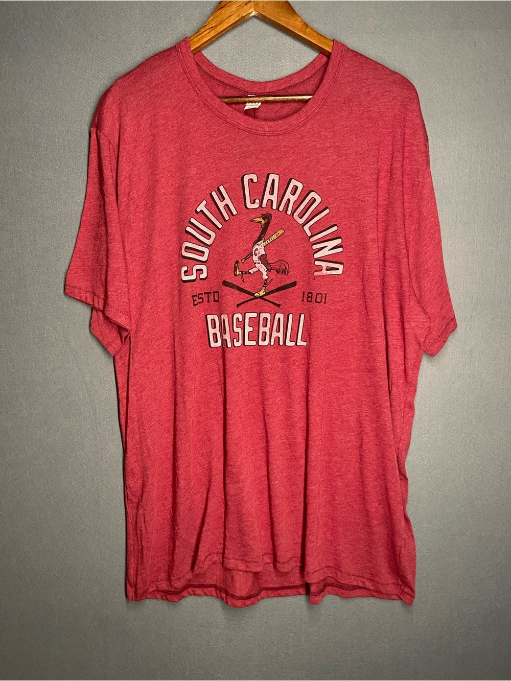 Alternative South Carolina Baseball Graphic Tee - Red